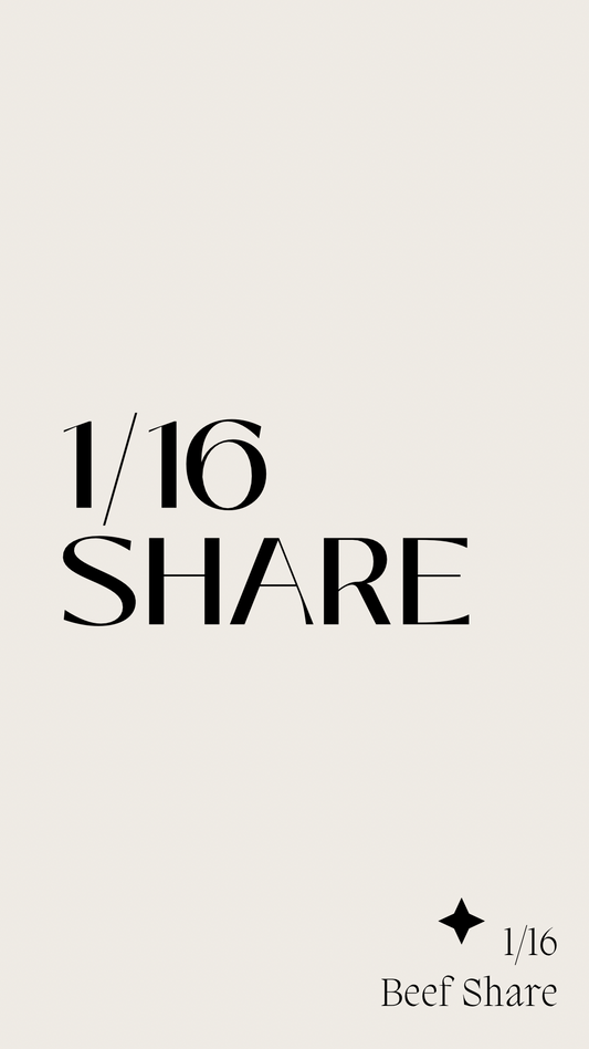 1/16 Share